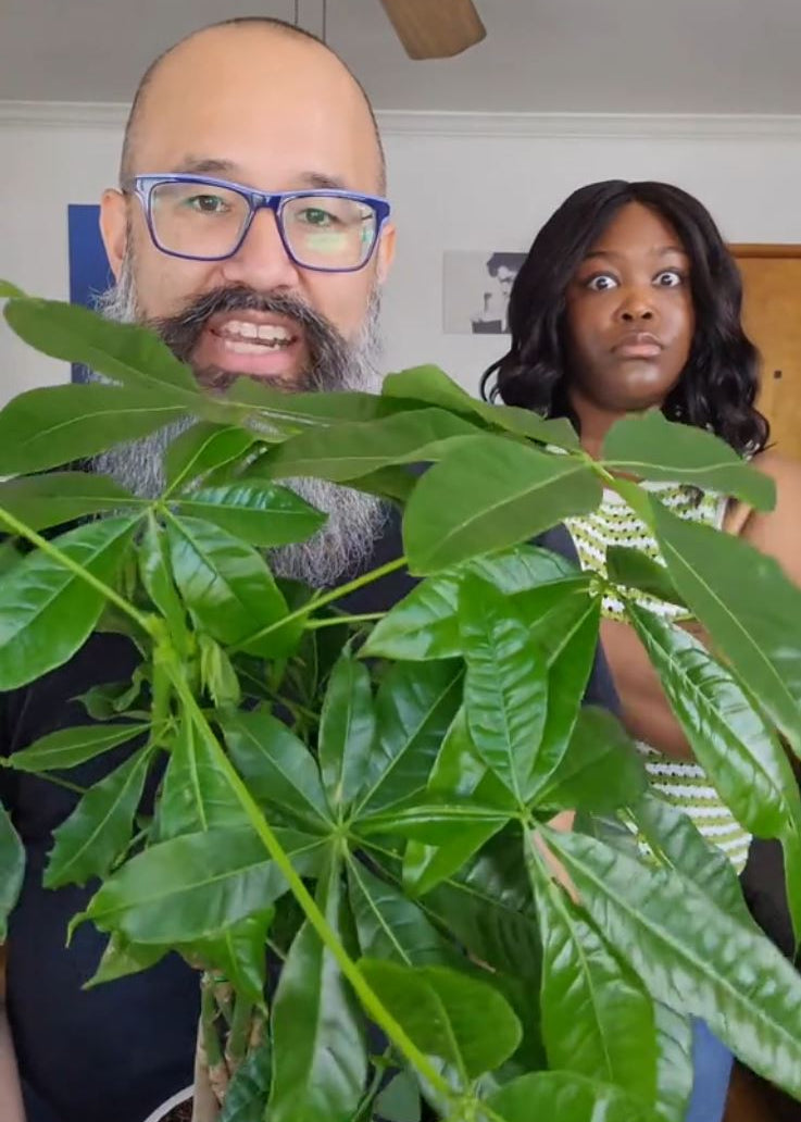 Money Tree