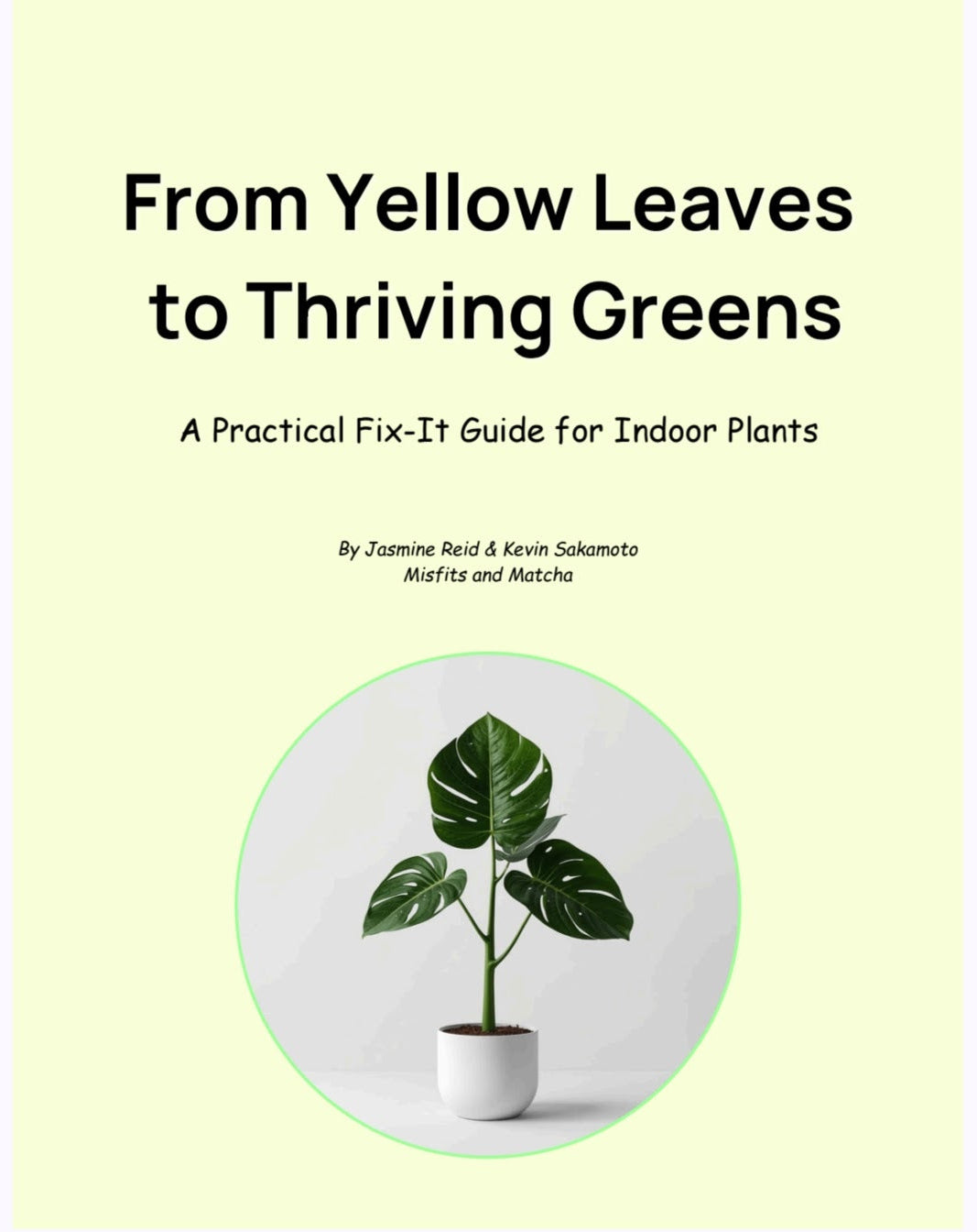 A Practical Indoor Plants Guide